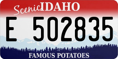 ID license plate E502835