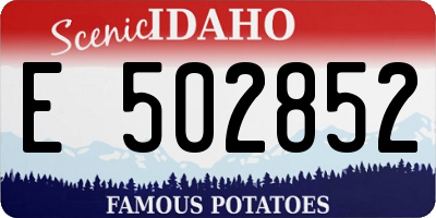 ID license plate E502852