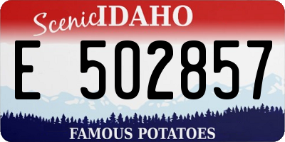 ID license plate E502857