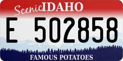 ID license plate E502858