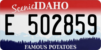 ID license plate E502859