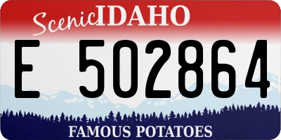 ID license plate E502864