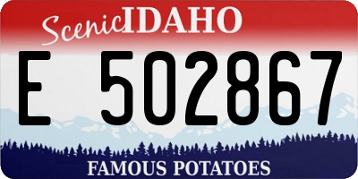 ID license plate E502867