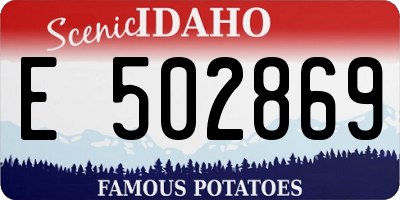 ID license plate E502869