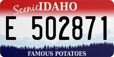 ID license plate E502871
