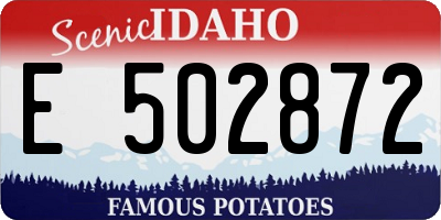 ID license plate E502872