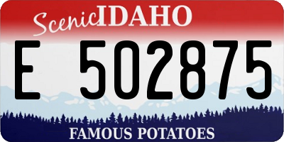 ID license plate E502875