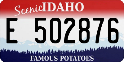 ID license plate E502876
