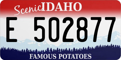 ID license plate E502877