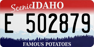 ID license plate E502879