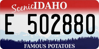 ID license plate E502880