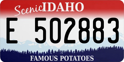 ID license plate E502883