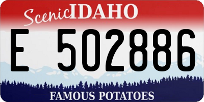ID license plate E502886