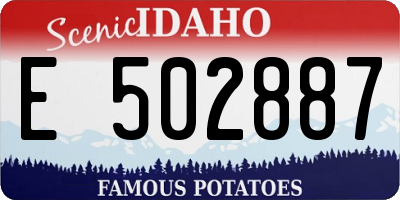 ID license plate E502887