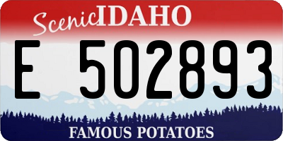 ID license plate E502893