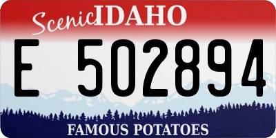 ID license plate E502894