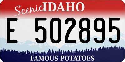 ID license plate E502895