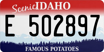 ID license plate E502897
