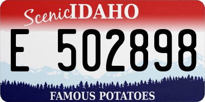 ID license plate E502898