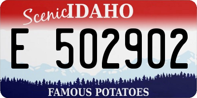 ID license plate E502902