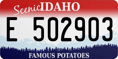 ID license plate E502903