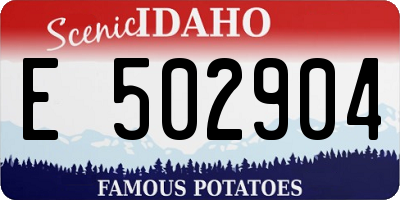 ID license plate E502904