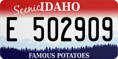 ID license plate E502909
