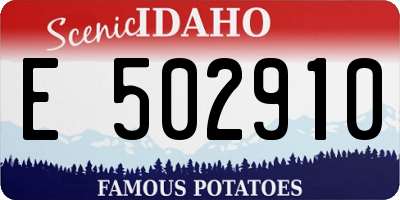 ID license plate E502910