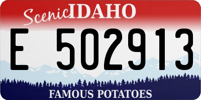 ID license plate E502913