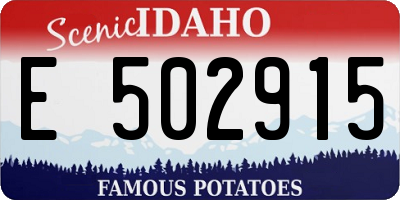 ID license plate E502915