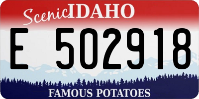 ID license plate E502918