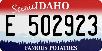 ID license plate E502923