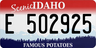 ID license plate E502925