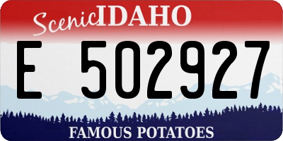 ID license plate E502927