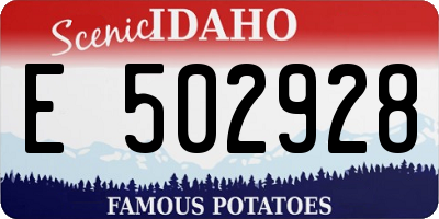 ID license plate E502928