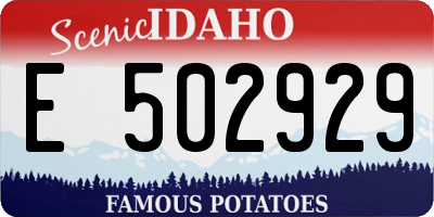 ID license plate E502929