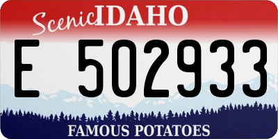 ID license plate E502933