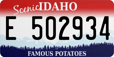 ID license plate E502934