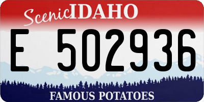 ID license plate E502936