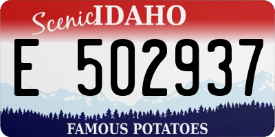 ID license plate E502937