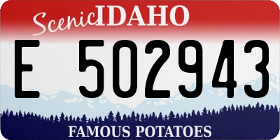 ID license plate E502943
