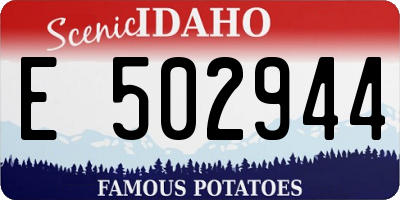 ID license plate E502944