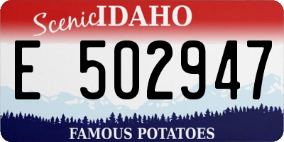 ID license plate E502947