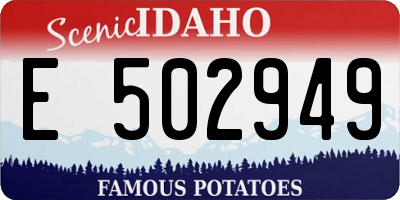 ID license plate E502949