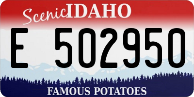 ID license plate E502950