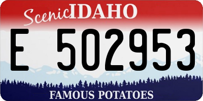ID license plate E502953