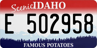 ID license plate E502958