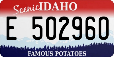 ID license plate E502960