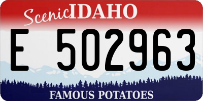 ID license plate E502963
