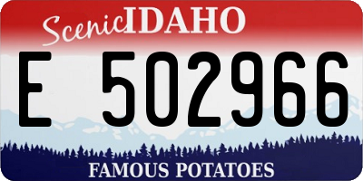 ID license plate E502966